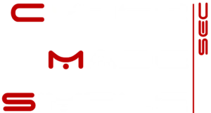 Cyber Made Simple